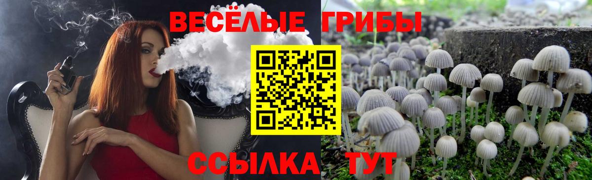 Галлюциногенные грибы прущие грибы  дарнет шоп  Кудымкар  Галлюциногенные грибы прущие грибы  Вход с VPN 