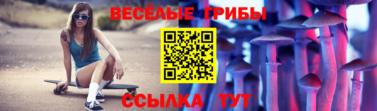 Галлюциногенные грибы GOLDEN TEACHER Кудымкар